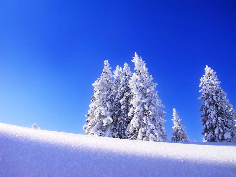 2 Winter Nature Wallpaper